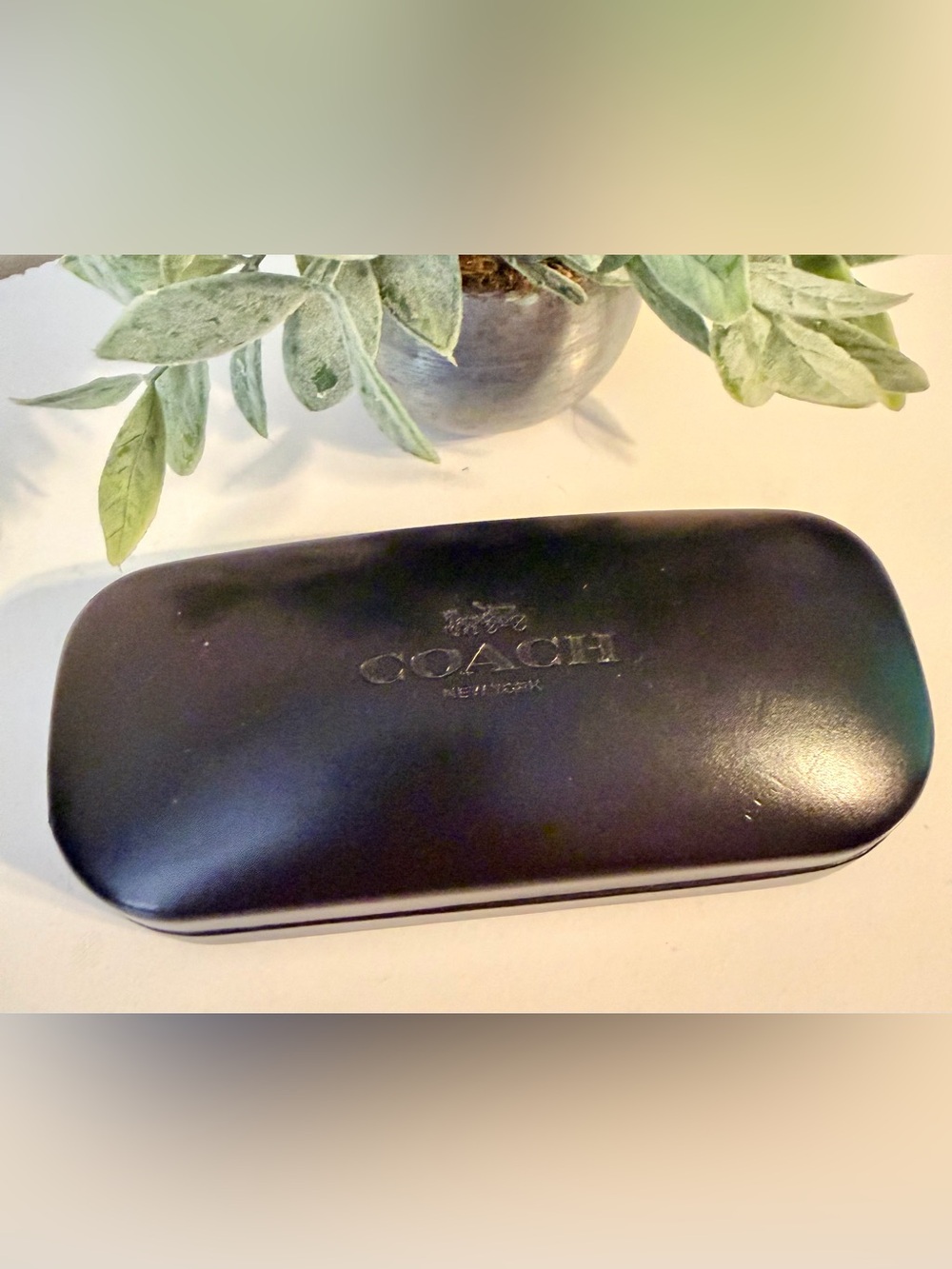 COACH Black Sunglasses Case